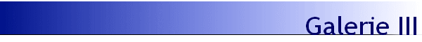 Galerie III
