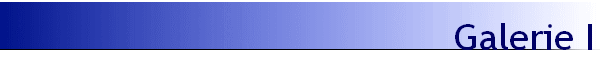 Galerie I